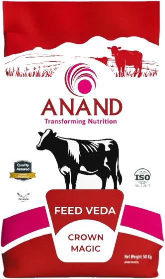 Anand Cattle Feed